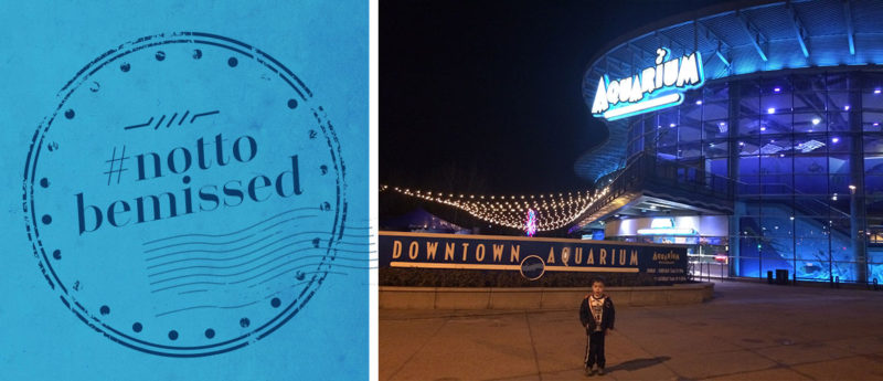 Top #nottobemissed attractions at the Downtown Aquarium Denver with Kids