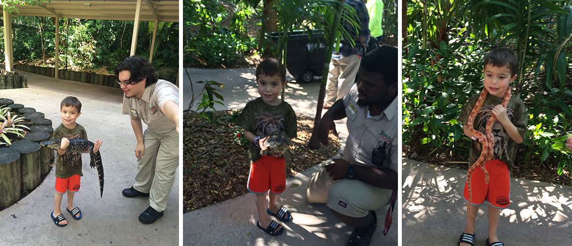 Holding_Turtles_Reptiles