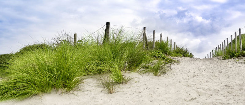 Beachwalk Resort – An Ideal Family Vacation on Lake Michigan