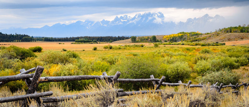 Jackson Hole: a Treasure in the Summer