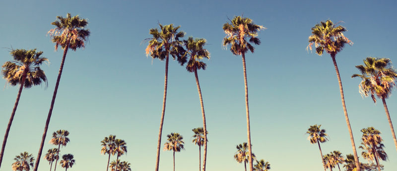 8 Great Dining Spots for Hungry Families Visiting Los Angeles