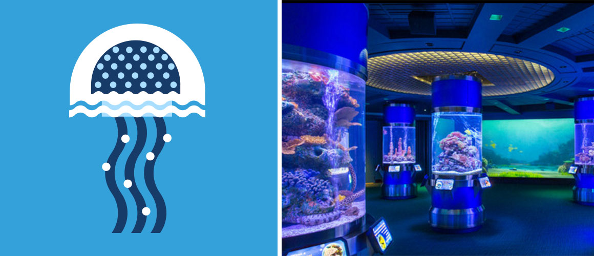 Walt Disney World Adventure Under the Sea: Epcot’s Aqua Tour