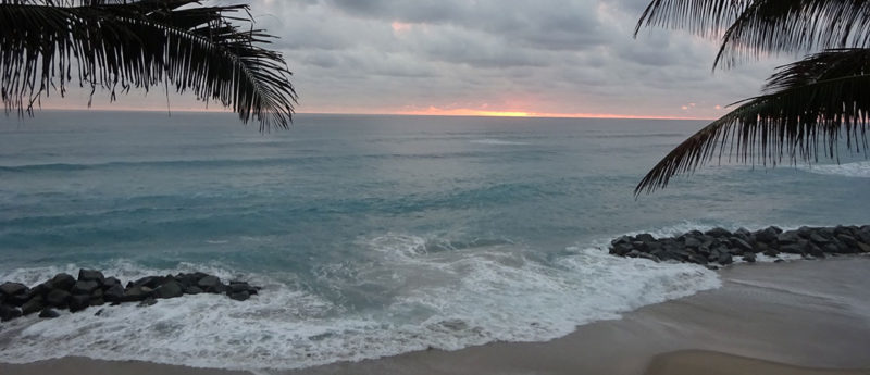 Palm Beach Date Night Thanks to The Most Trusted Hotel Babysitters