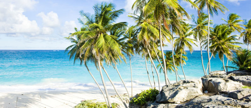 4 Reasons to Visit Barbados This Year