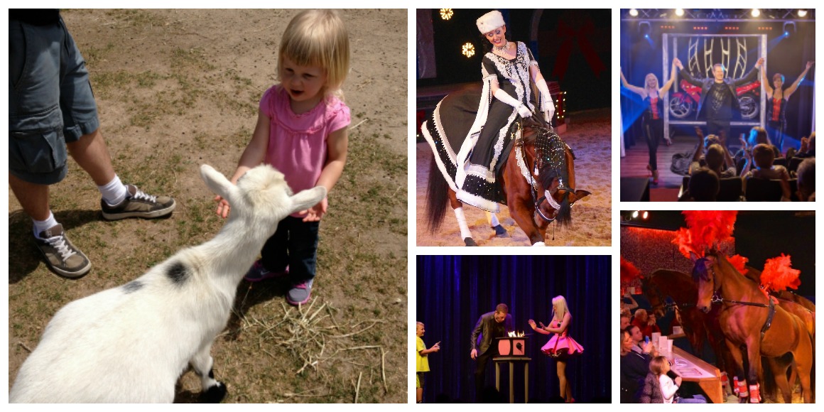 Lake Geneva Petting Zoo