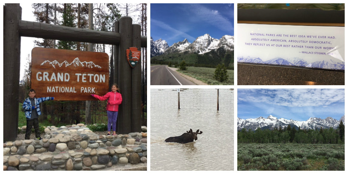 Showing The Kids How The West Was Won: A Wild Western Family Road Trip - Western Family Road Trip Guide to National Parks including Grand Teton, Yellowstone, and Rocky Mountain National Park. This post has everything you need to plan a road trip with the kids! Itinerary, what to see, what to do, where to stay, and where to eat! ****************** Wild West Road Trip | Western Road Trip | National Parks with kids | Wild West Adventure | Wanderlust | Western US Road Trip | Grand Teton with Kids | Yellowstone with Kids | Rocky Mountain National Park with Kids | Cody Wyoming with kids| Cody Rodeo | Ft. Collins Colorado with kids | Buffalo Bill Center of the West | Cody Hotel | Cody Nite Rodeo | Chief Joseph Highway | Wilderness Connection | Gardiner Montana | Continental Divide | Old Faithful | United States Serengeti Plain | Buffalo | Jackson Hole Wyoming with kids | National Parks road trip | National Parks with kids