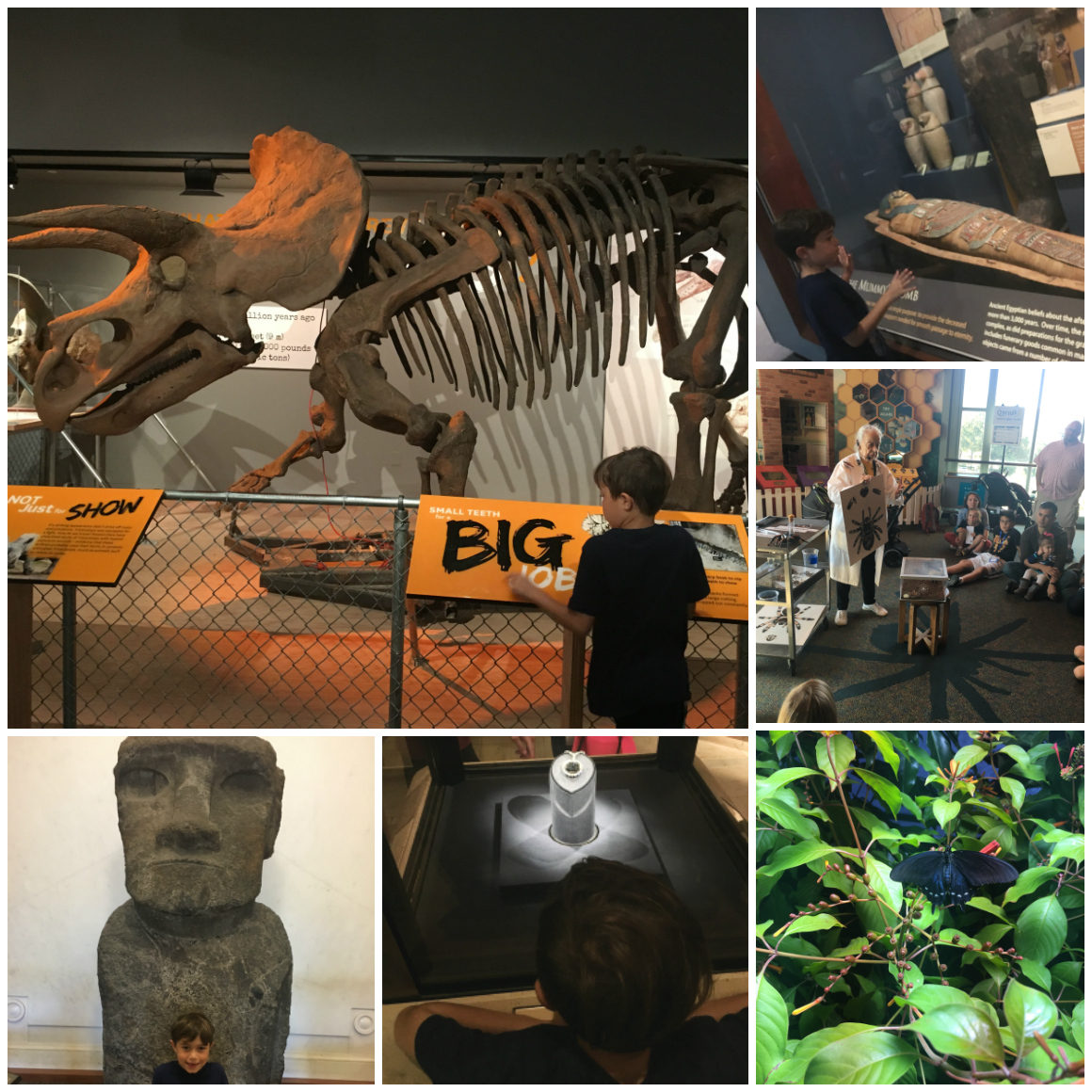 Top 5 Best activities in Washington DC for kids