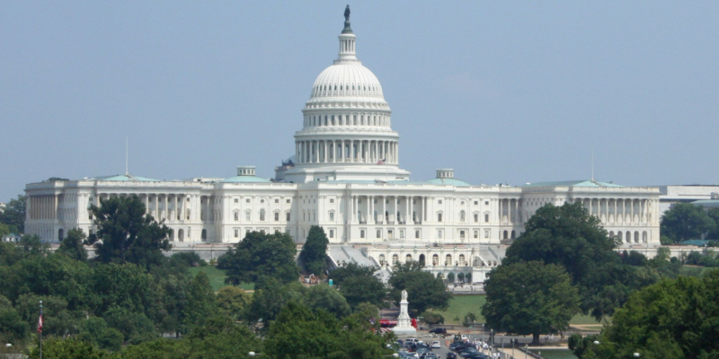 Top 5 Favorite Activities in Washington D.C. for Little Kids