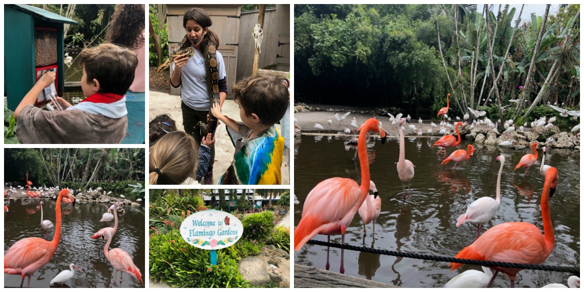 Review of Flamingo Gardens Ft. Lauderdale - Well Traveled Kids