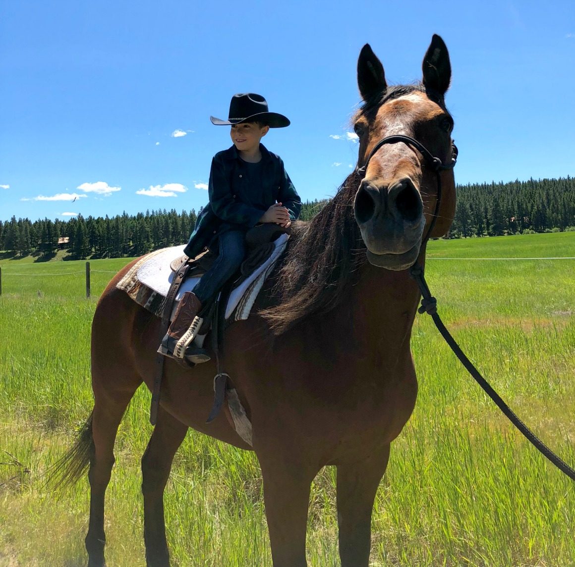 Montana Dude Ranch - Well Traveled Kids