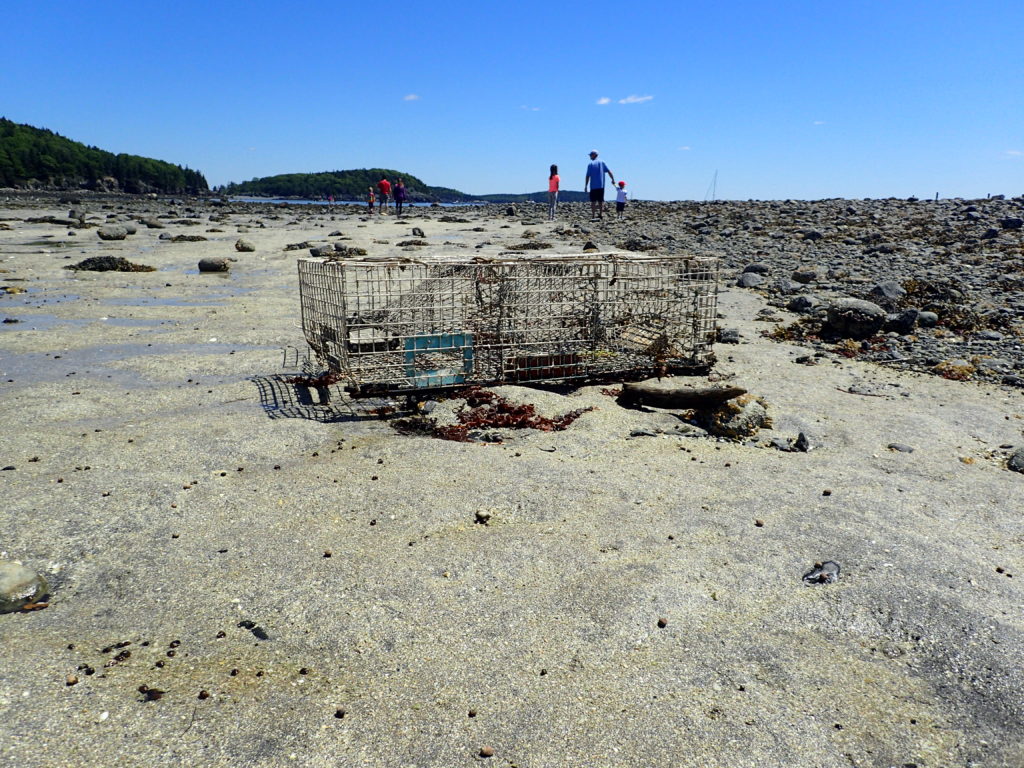 Lobster Trap Acadia National Park