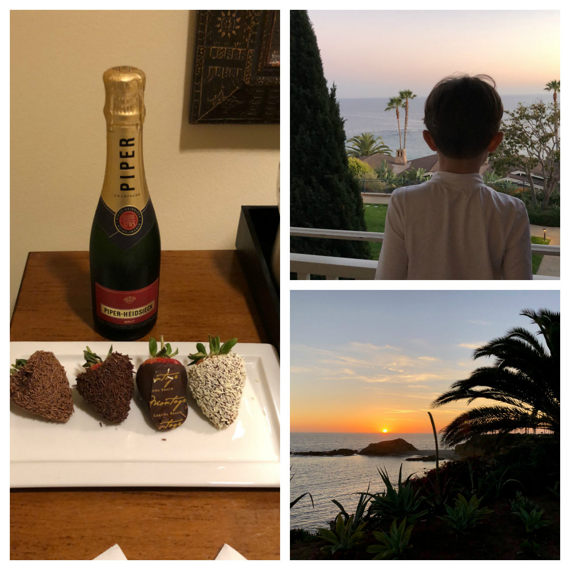 luxury family Laguna beach vacation - well traveled kids