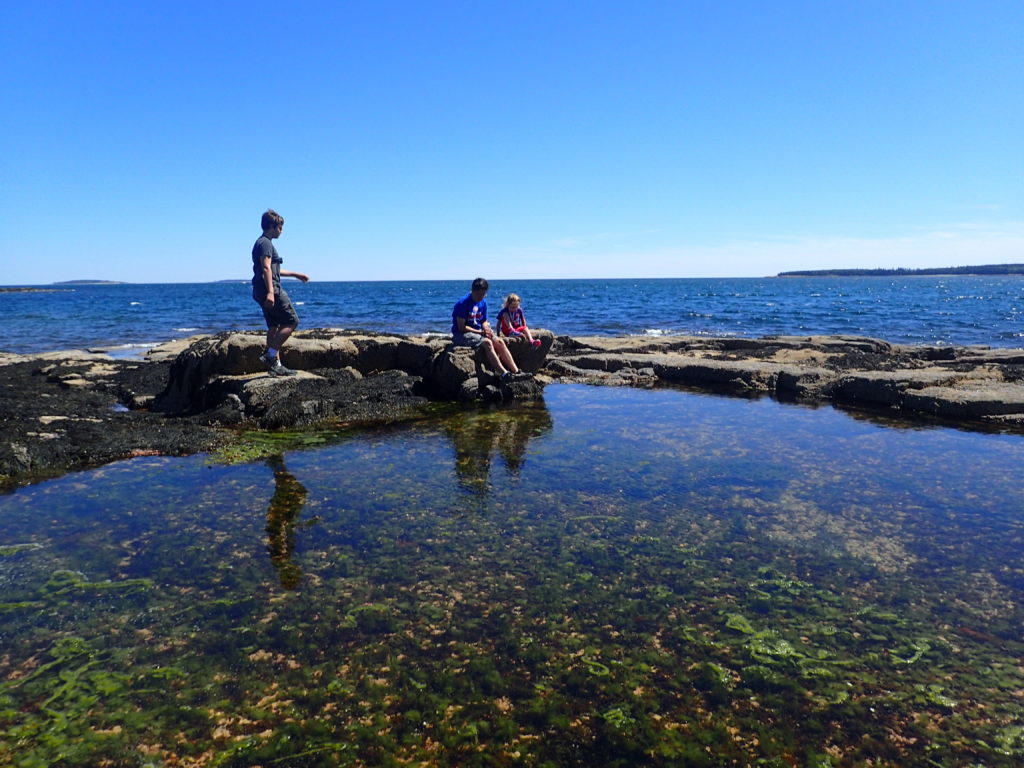 Wonderland Tide Pools