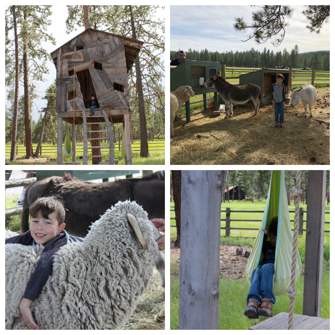 Montana Ranch for kids - Well Traveled Kids