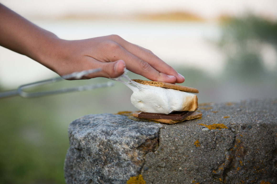 indoor smores - well traveled kids