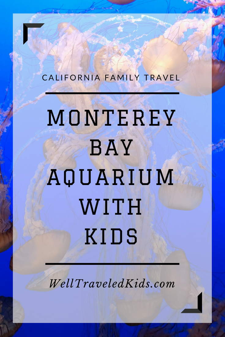 Tips for visiting Monterey Bay Aquarium with kids - Well Traveled Kids