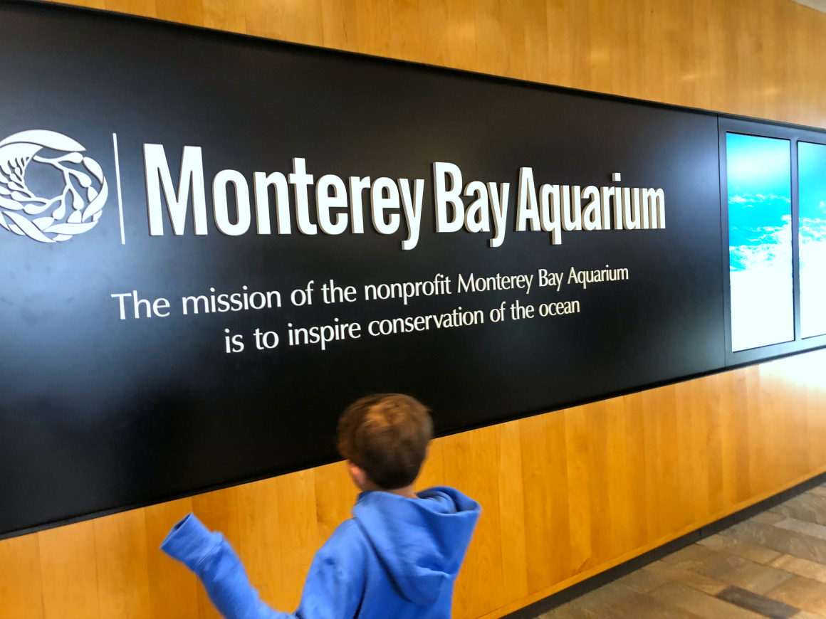 teaching kids conservation of the ocean at Monterey Bay Aquarium - Well Traveled Kids