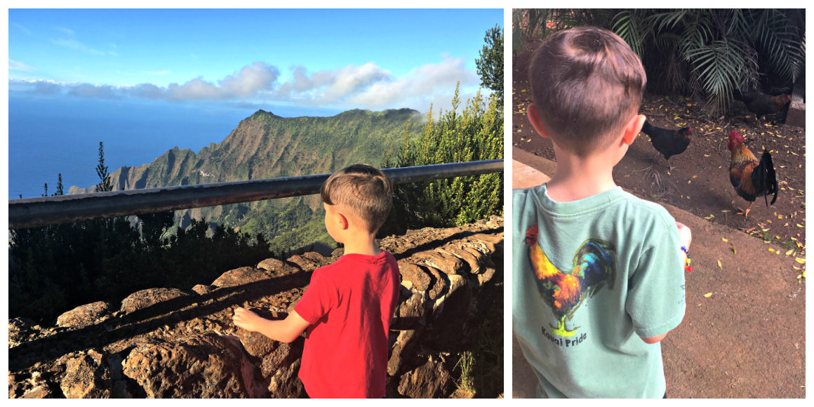 kauai with kids