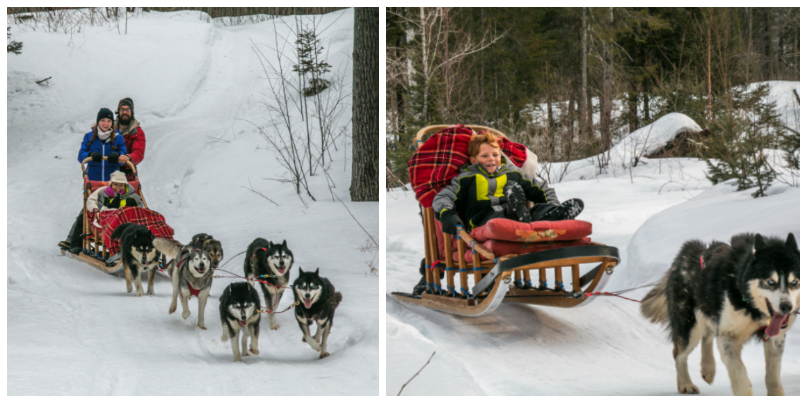 Dogsledding in Mont Tremblant with kids