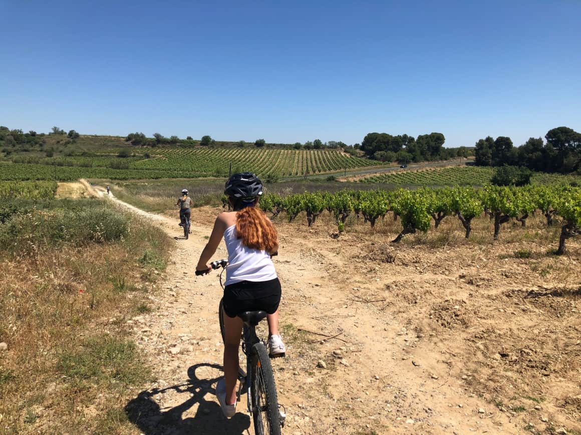 bike riding through french vineyards with kids