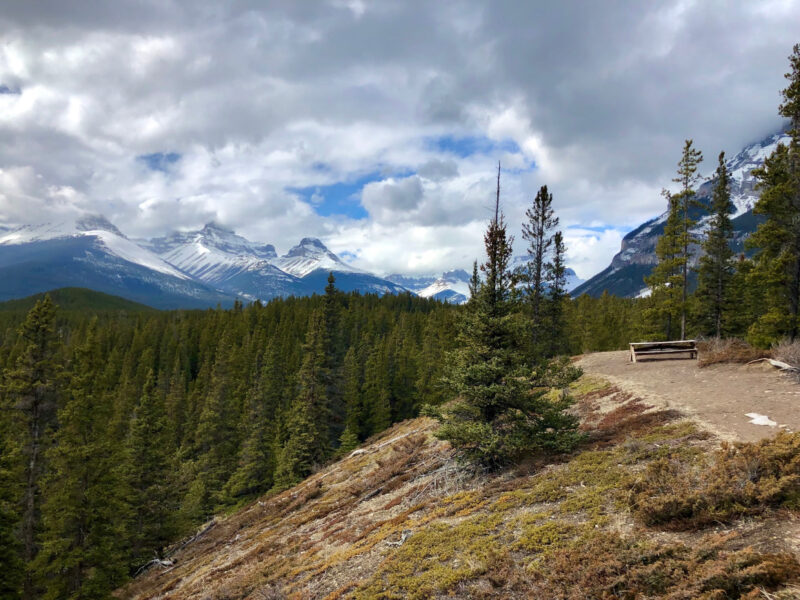 Ultimate Spring Break in Banff National Park with Kids