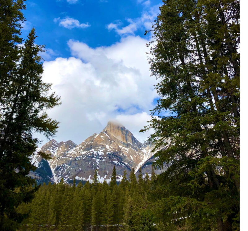 Ultimate Spring Break in Banff National Park with Kids